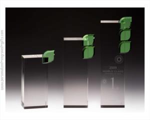 Environmental Green Leaf Tower Award