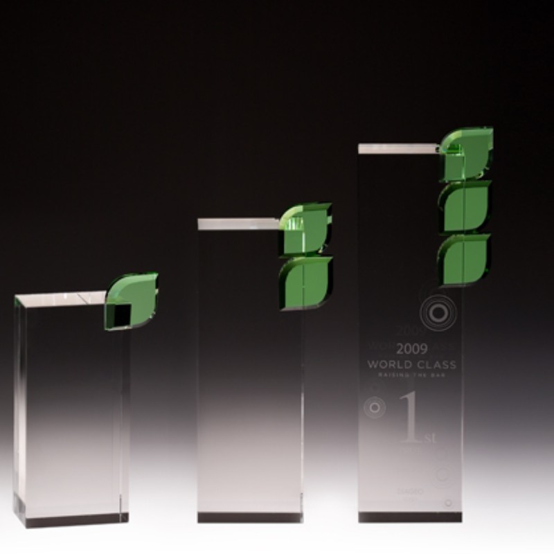 Environmental Green Leaf Tower Award